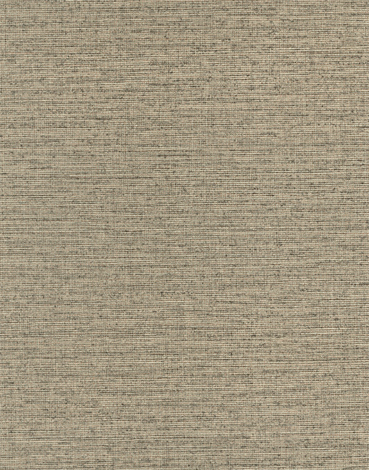BW005-6
